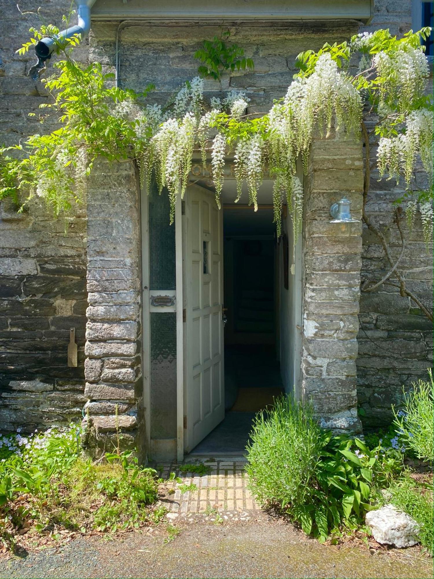 Home Farm - Theundergroundstream Churchstow Eksteriør bilde